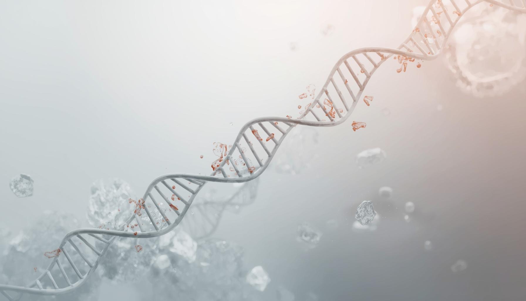 Mission and programmatic priorities